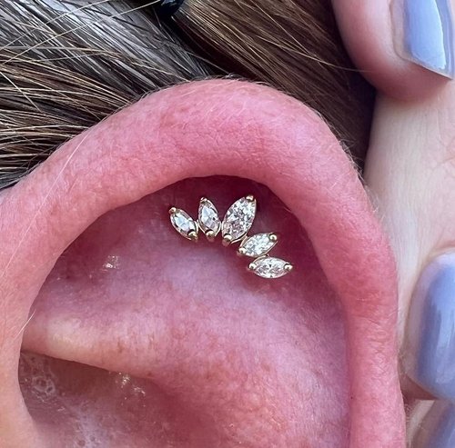 Helix piercing in Hereford by Susie