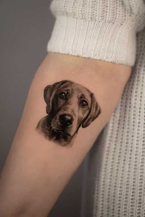 Labrador pet portrait tattoo UK