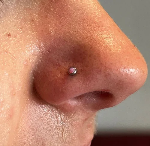 Nose piercing in Hereford by Susie