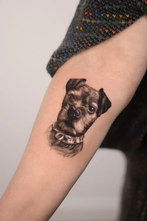 Border terrier pet portrait tattoo UK