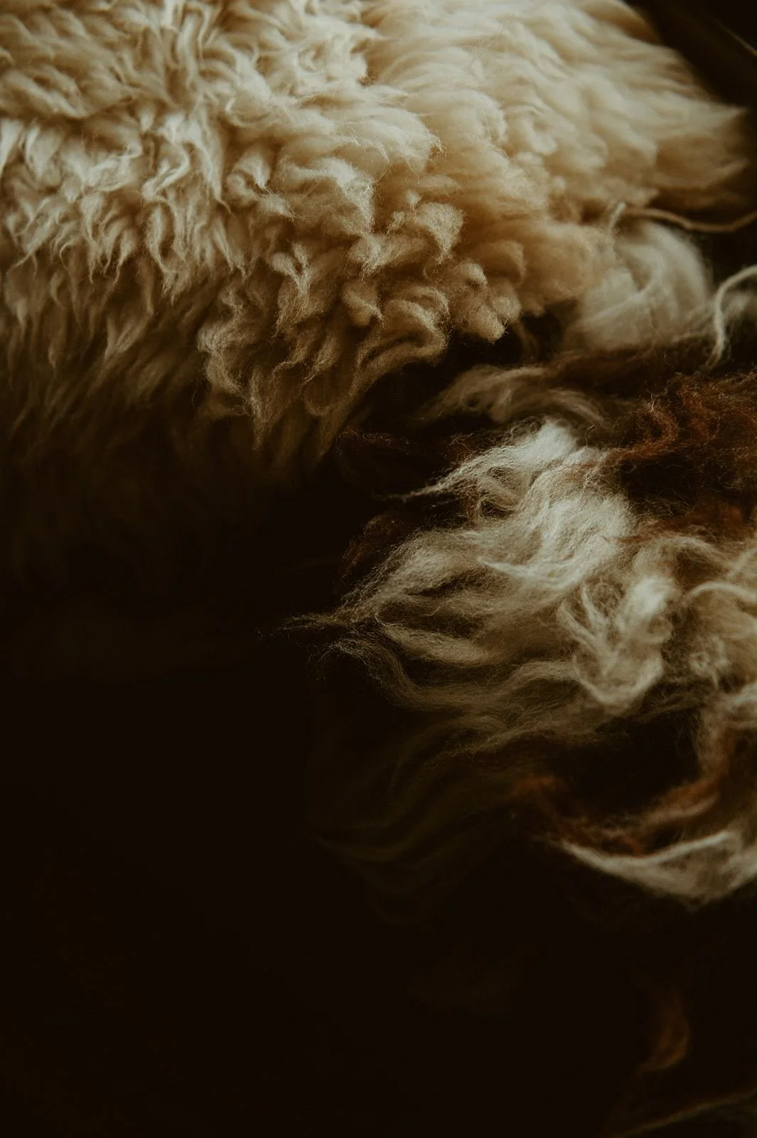 Heirloom European sheepskin