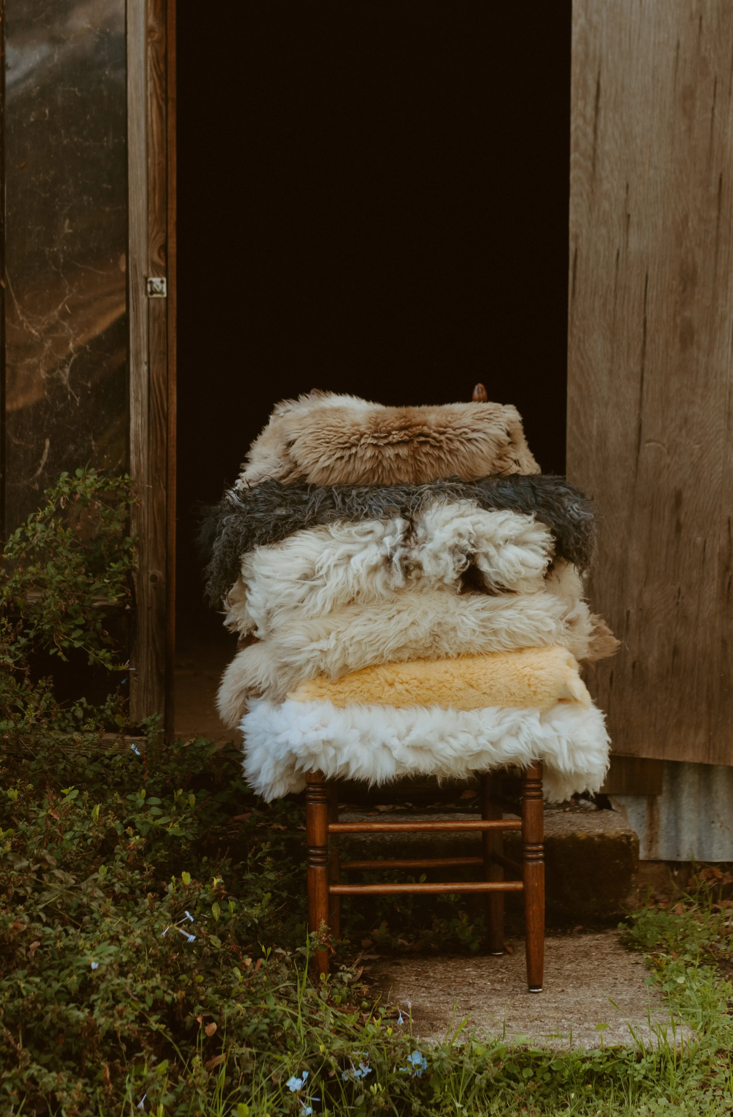 Heirloom sheepskins draped over a chair