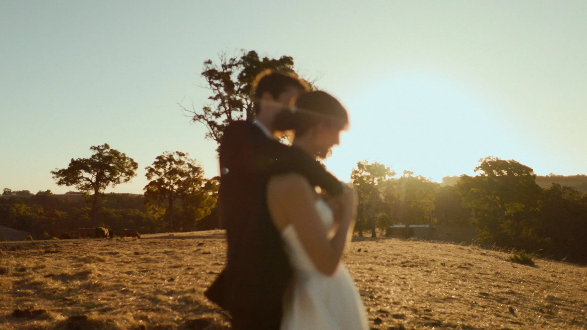 A Cinematic Experience — Ali & Scott