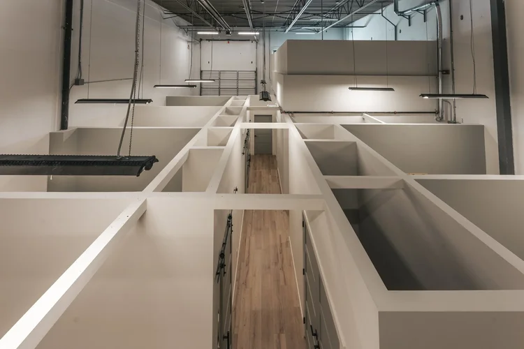 Treatment room at Panda Revival Lab in Surrey