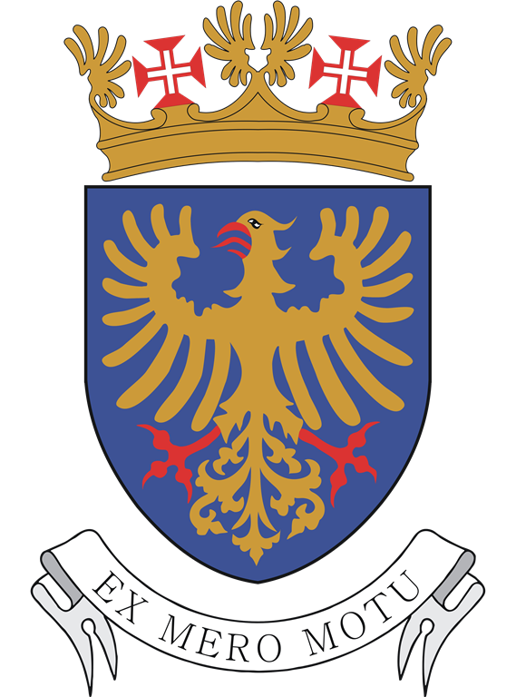 Portuguese Air Force