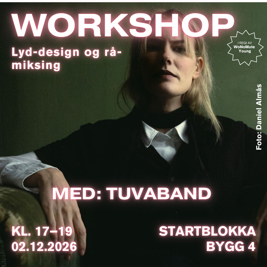 lyddesing og rå-miksing