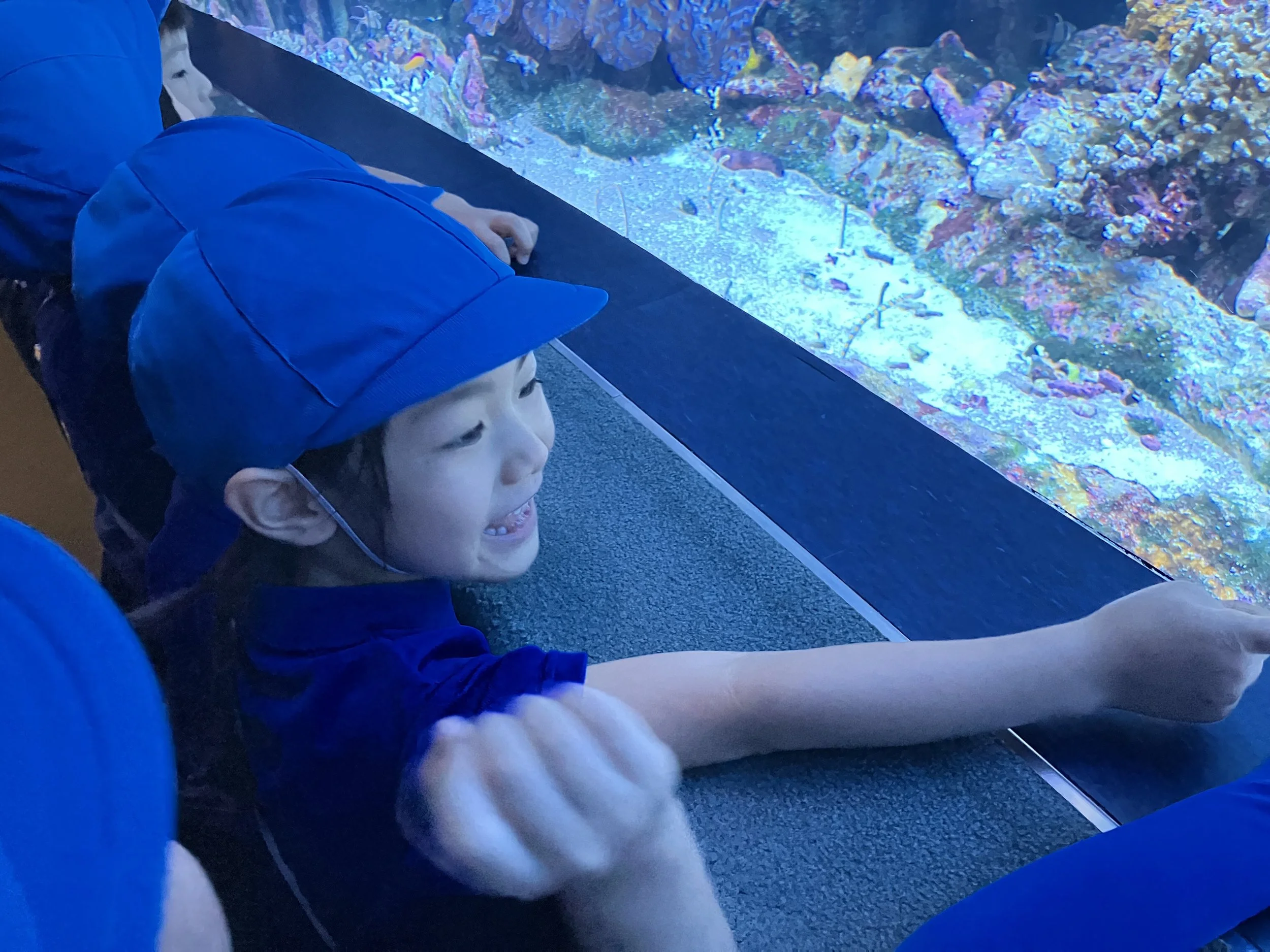 プリスクールでサイエンス実験を楽しむ子どもたち