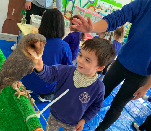 プリスクール サマーキャンプ