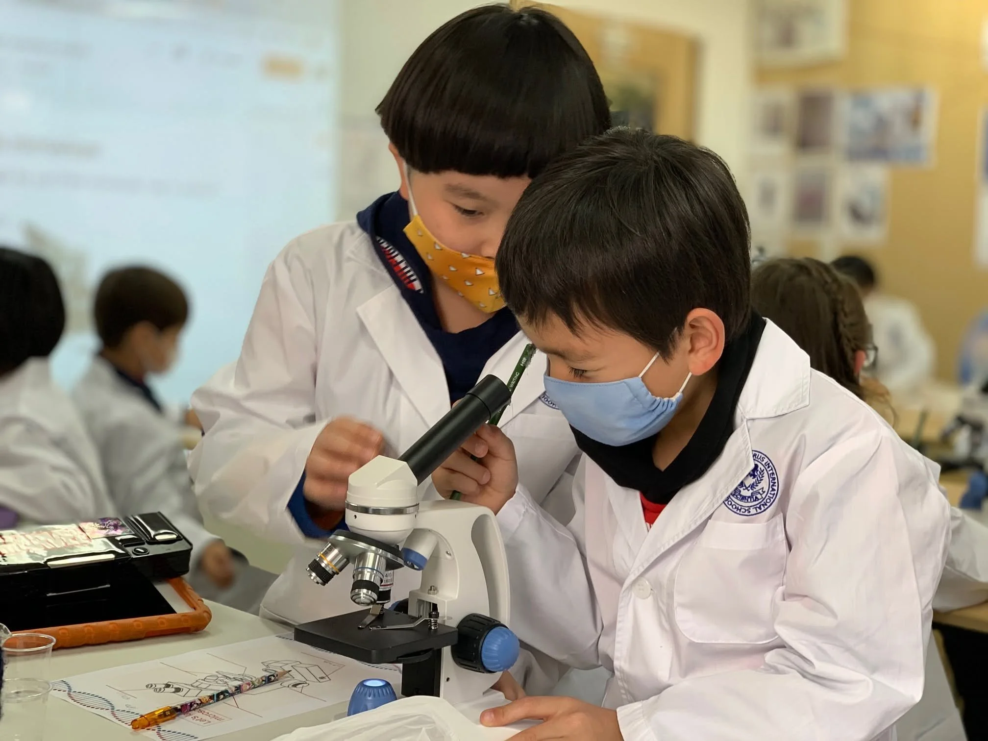 科学/体験型