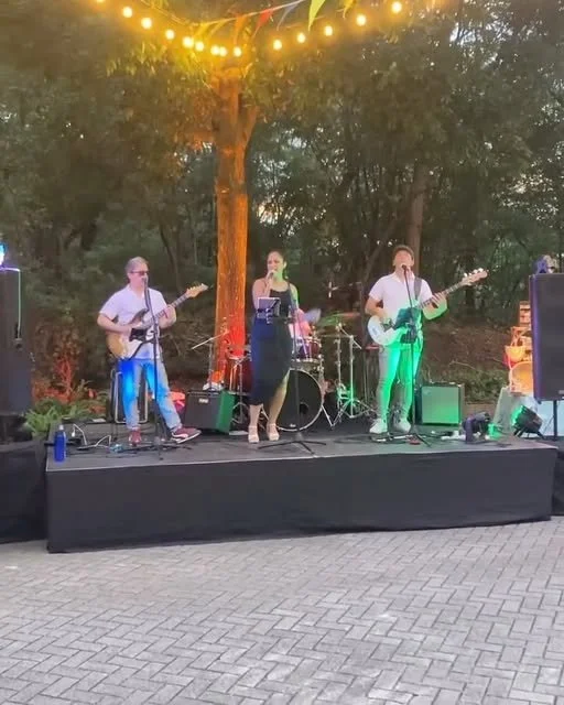 Spins the Band at Papagayo Street Fair — archive