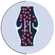 Illustration: a weakened vein with leaking valves