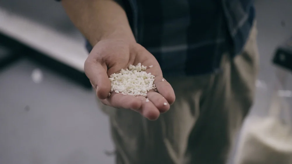 A Colorado Sake Co. brewer holding a handful of finished koji — steamed rice grown with koji mold