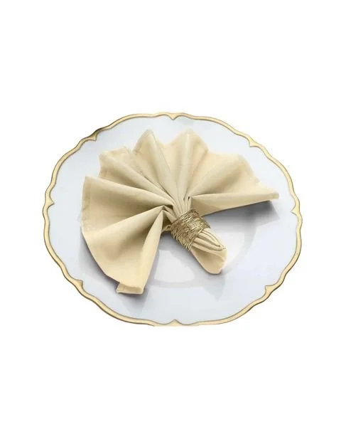 Napkin