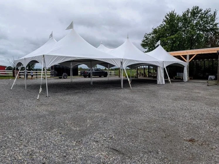 High peak marquee package in Simcoe backyard