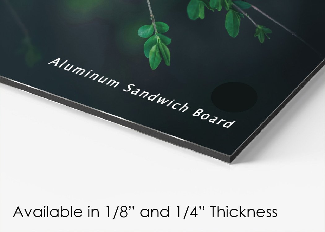 Custom Printed ACM Aluminum Composite Board