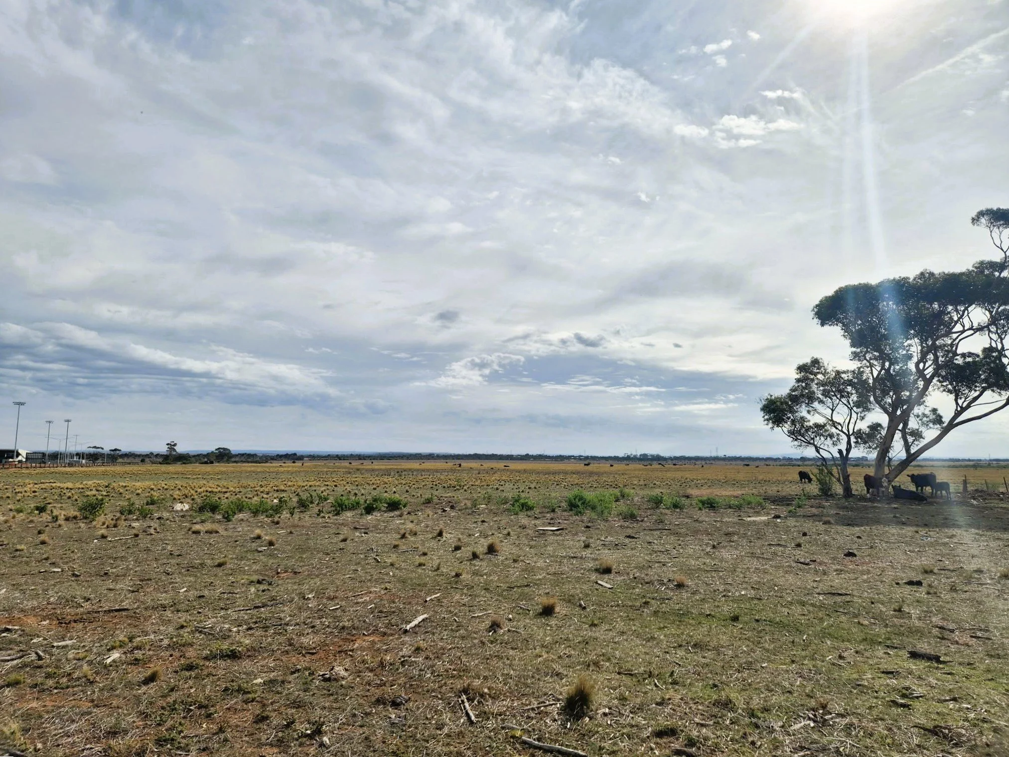 Clear My Block land management work completed in Tarneit
