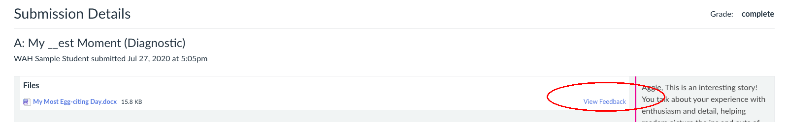 View Feedback button location in Canvas