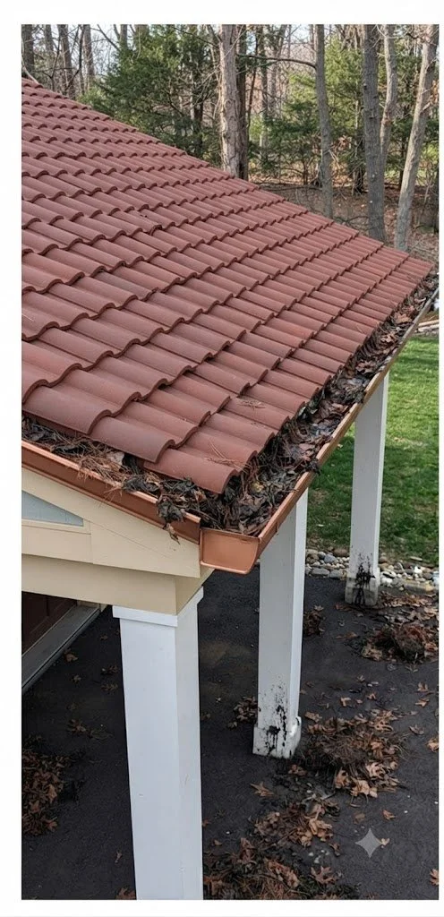 Before Gutter Cleaning
