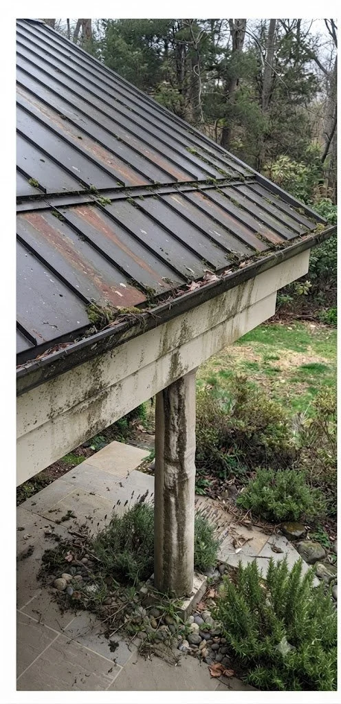 Before Gutter Cleaning