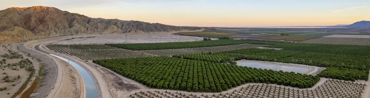 Aerial view of groves below the mountains