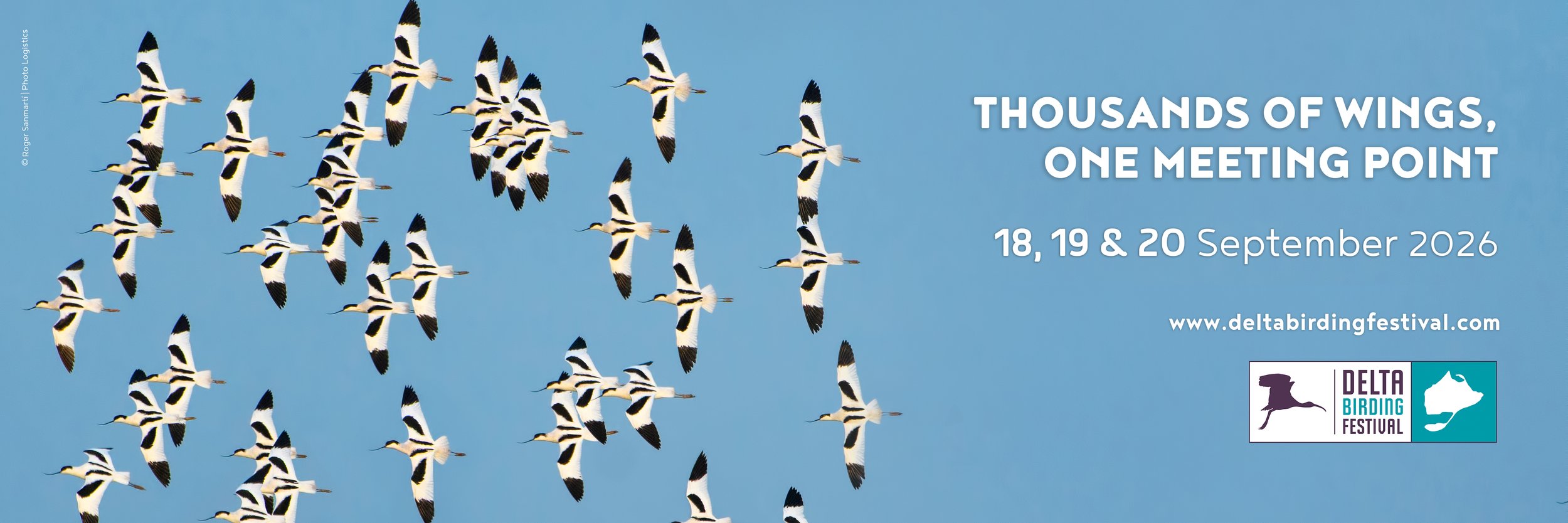 Delta Birding Festival