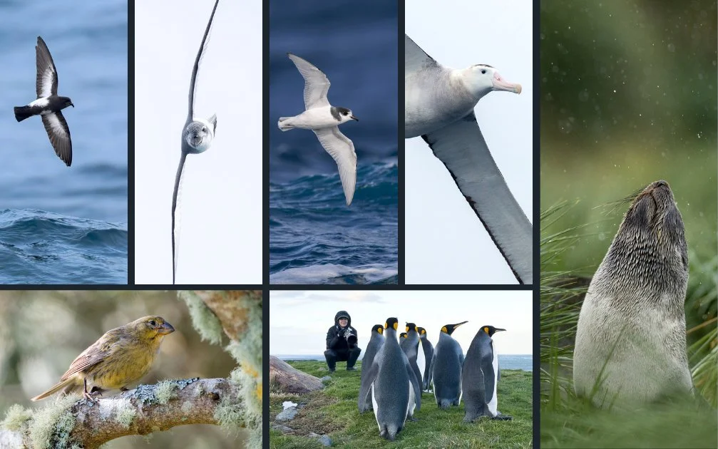 Atlantic Odyssey expedition