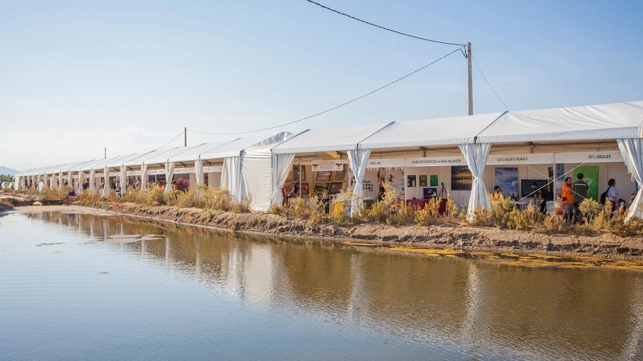Delta Birding Festival, zona B
