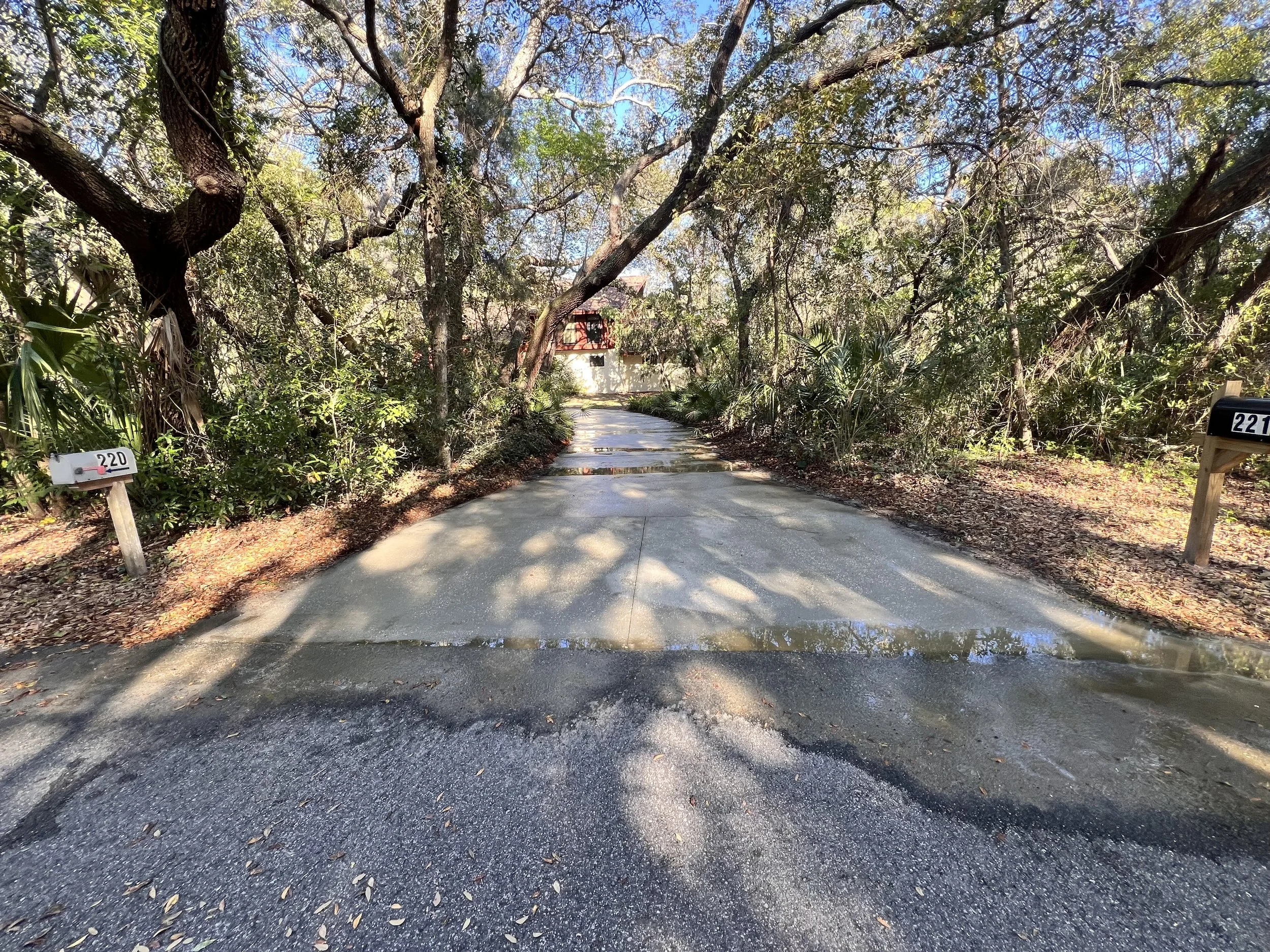 Driveway cleaning and front approach in Orlando area
