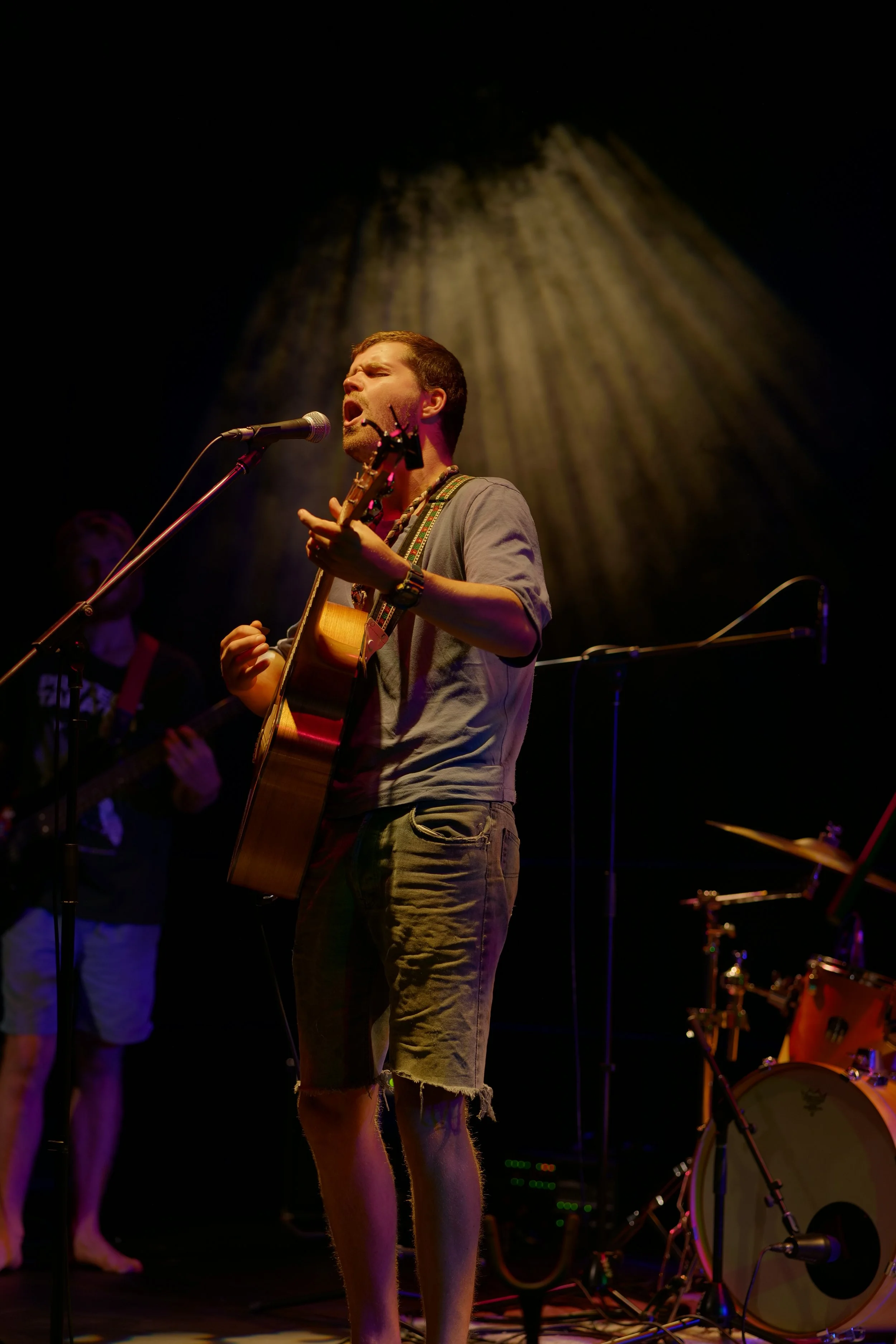 Seal Prince and the Roof Rats Detail