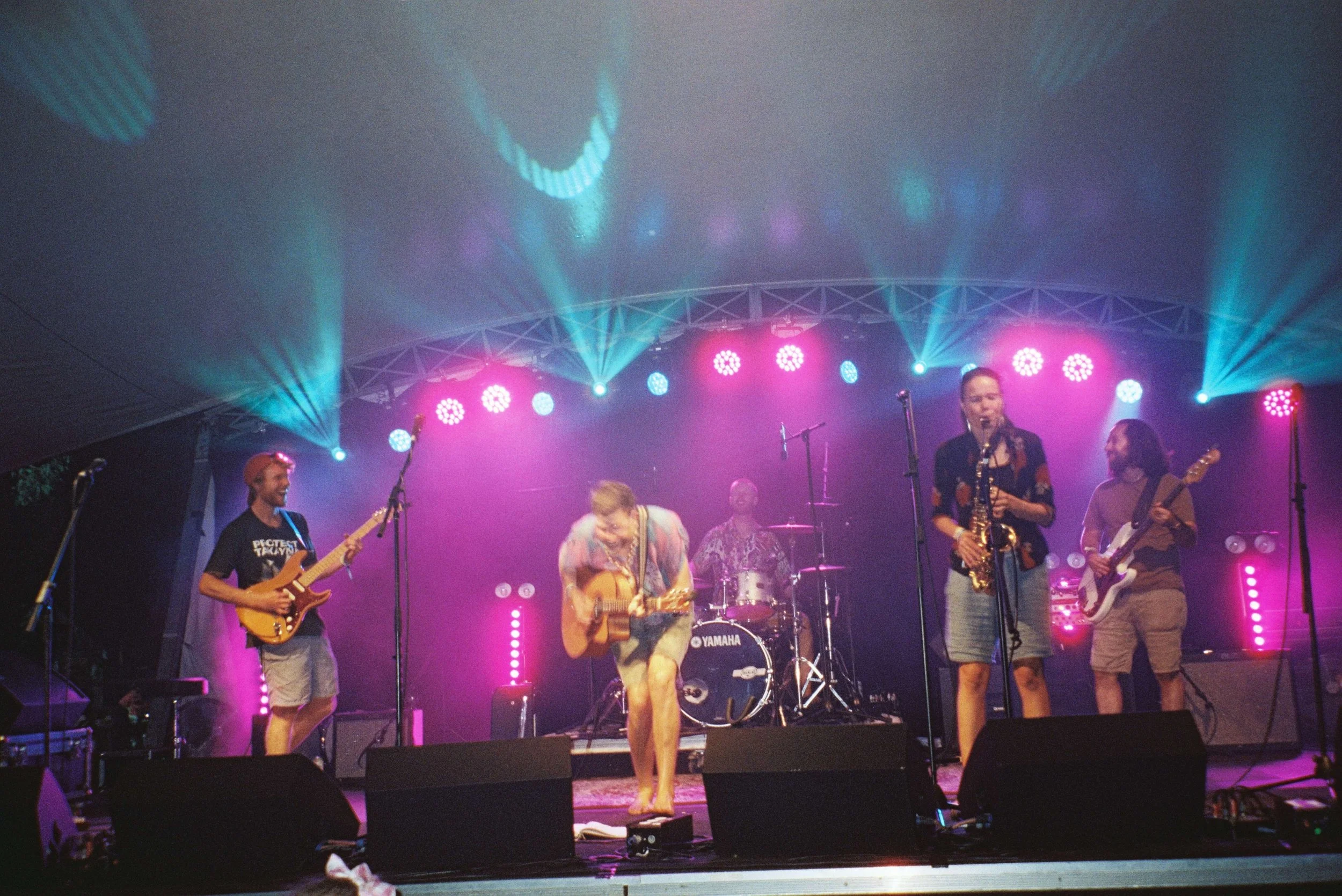 Seal Prince and the Roof Rats