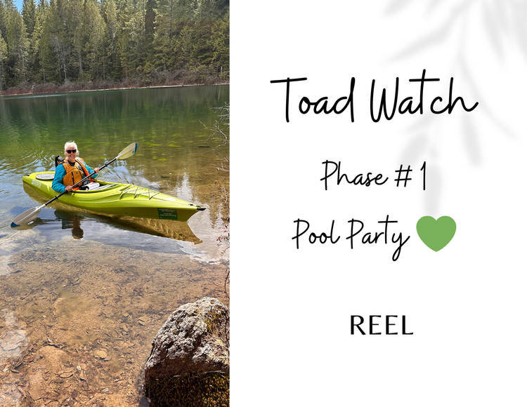 Volunteer surveyor in a kayak, observing Great Western Toads in Squamish