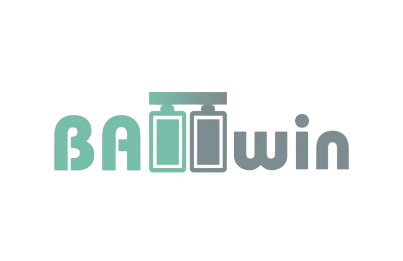 BATTWIN Logo