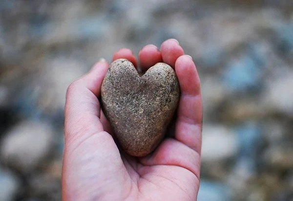 Heartwood Bursary Fund