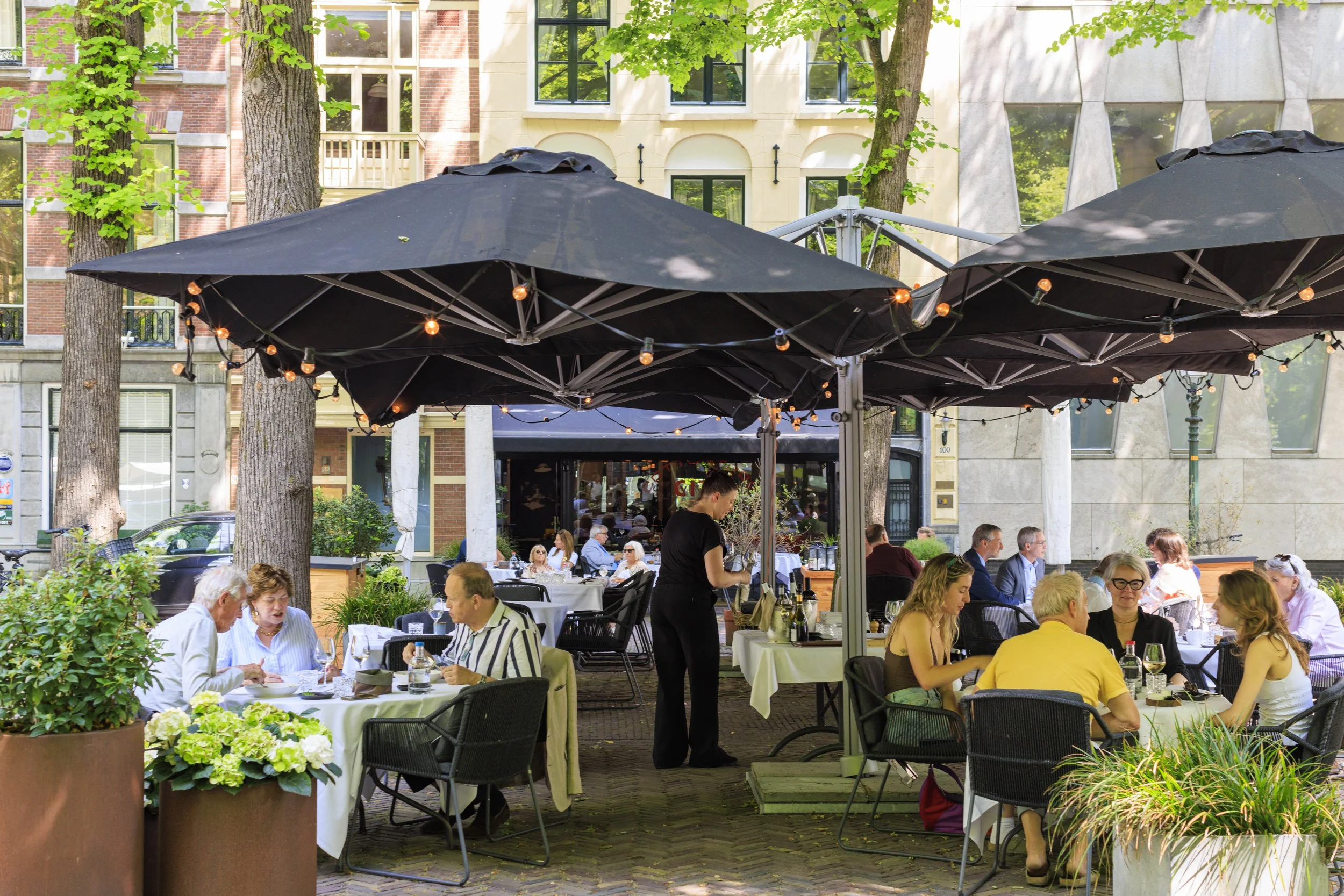 Cottontree City terras