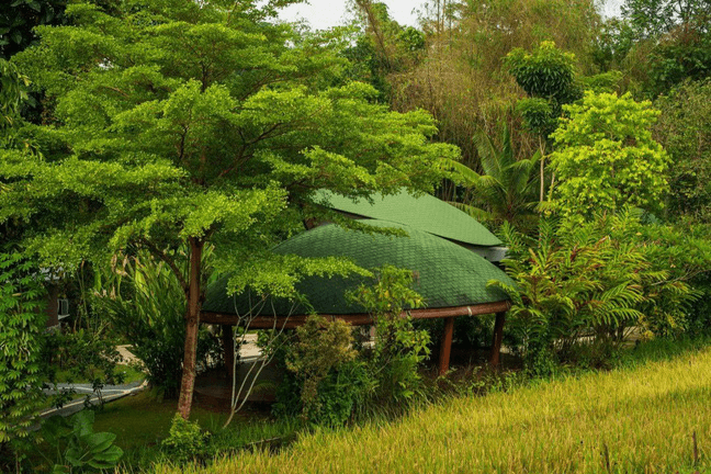Yoga retreat