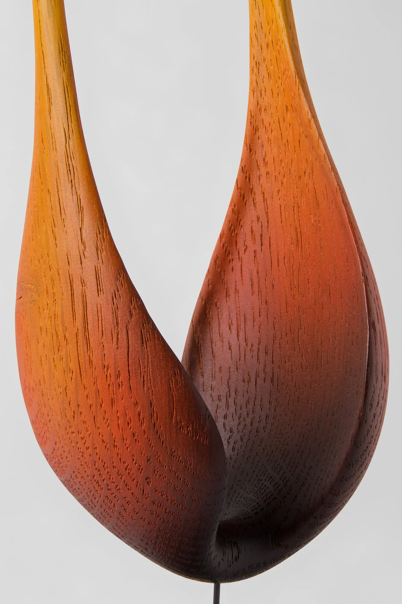 Flame — close-up forme