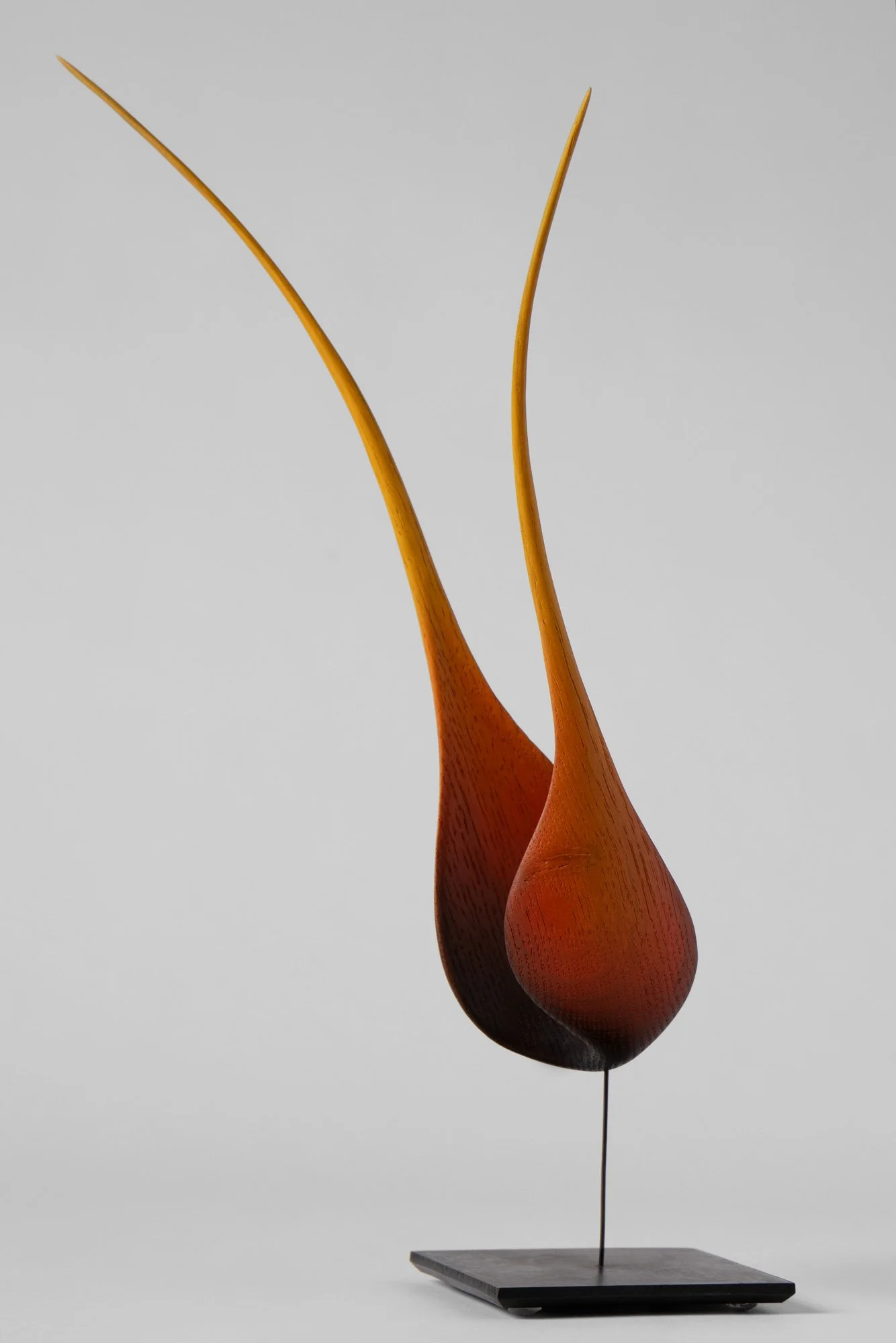 Flame — fond blanc variante