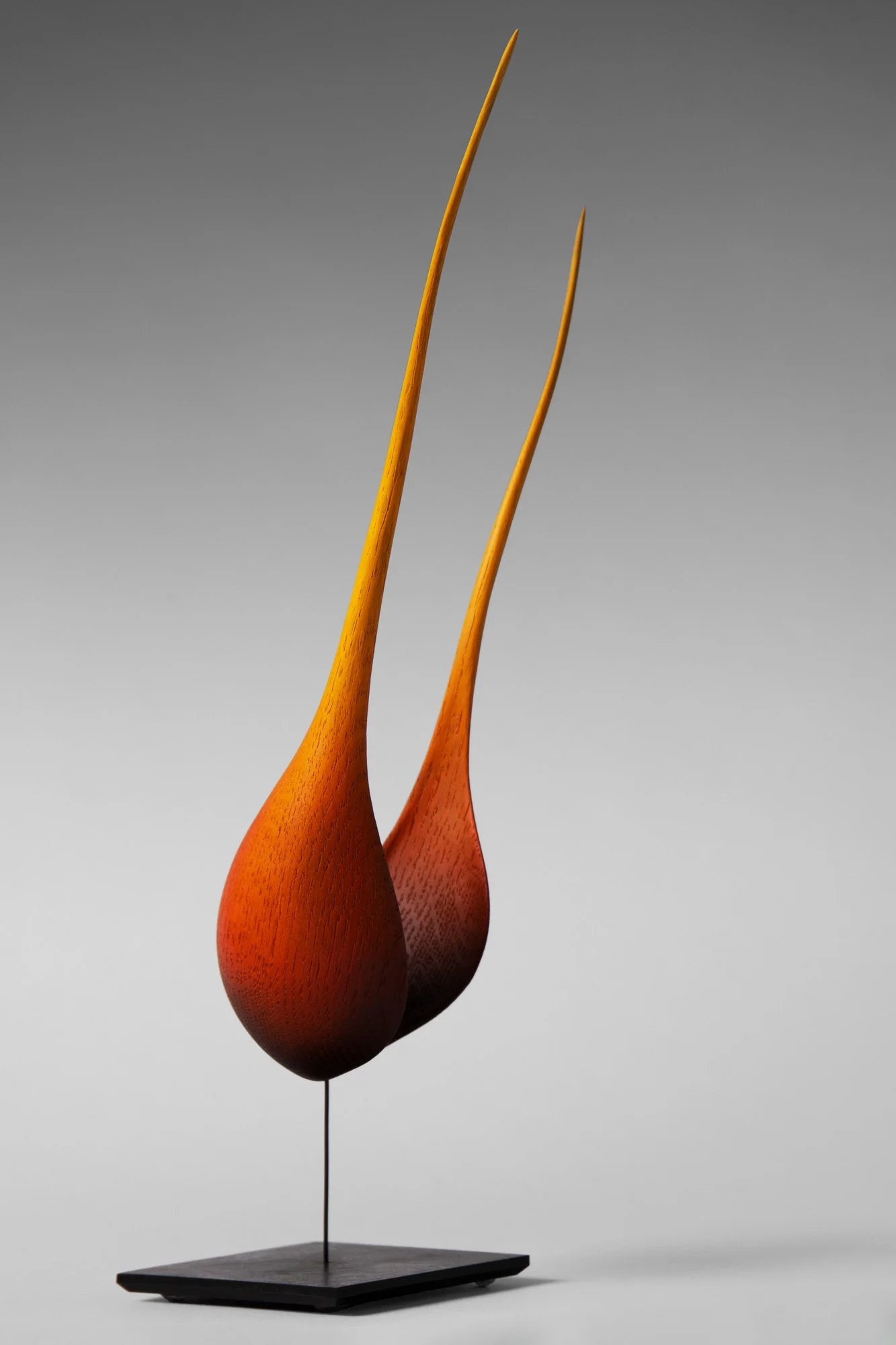 Flame — fond gris clair
