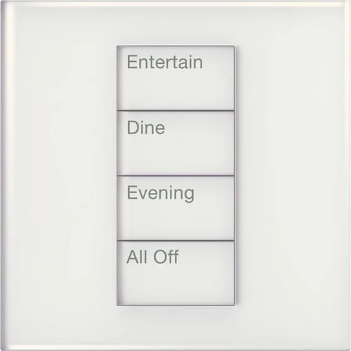 Palladiom keypad in Clear White Glass