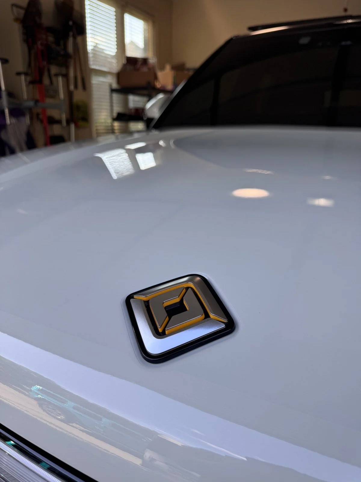 Rivian paint finish at a Gen. Detailing appointment in Milton