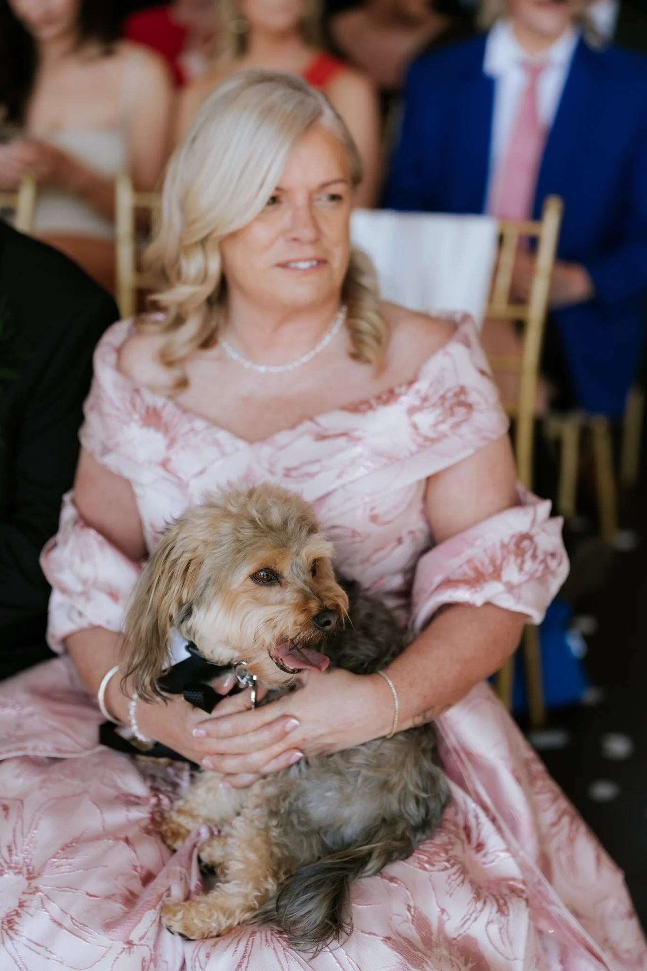 A wedding guest holding a small dog during the ceremony.