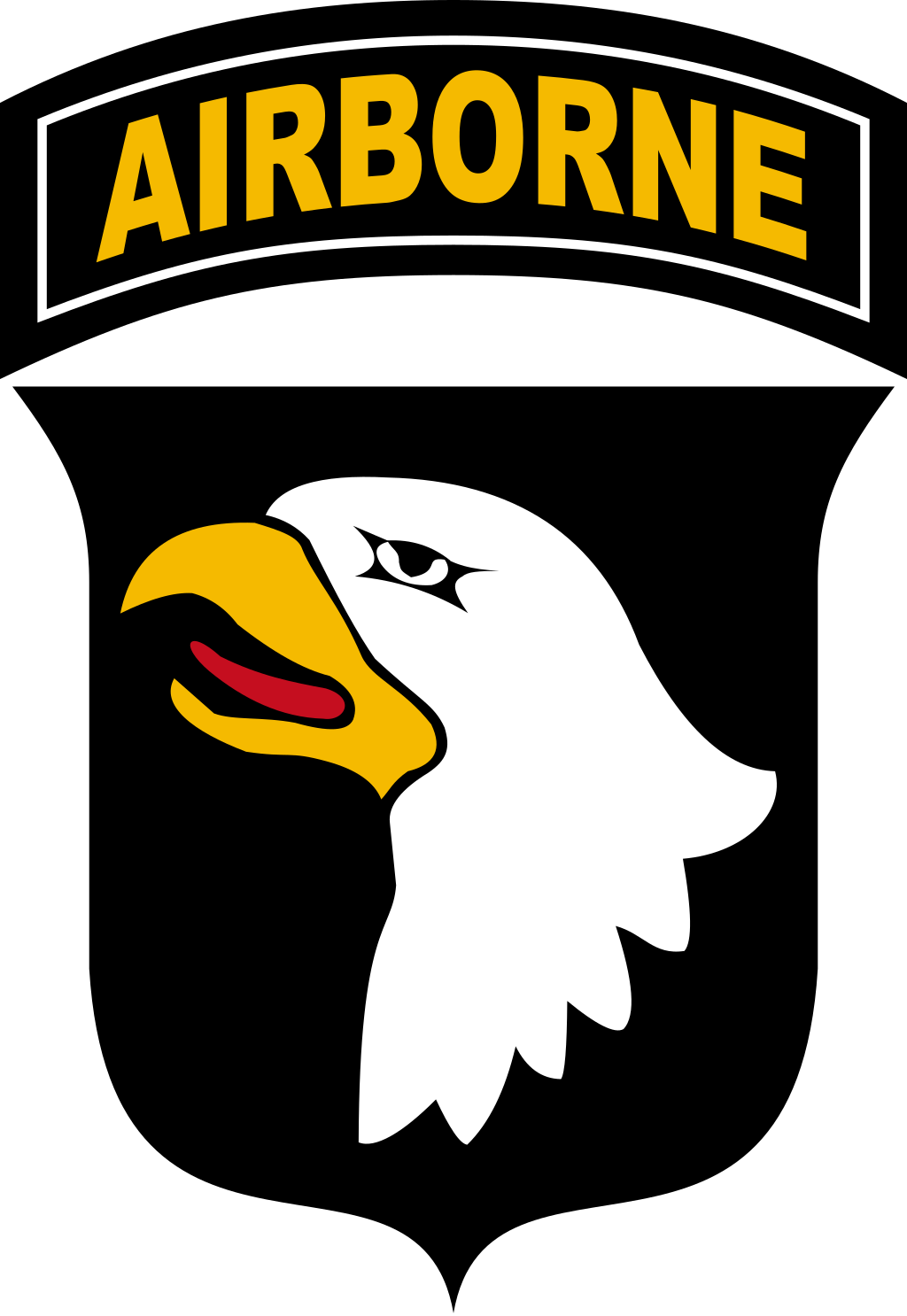 101st Airborne Patch