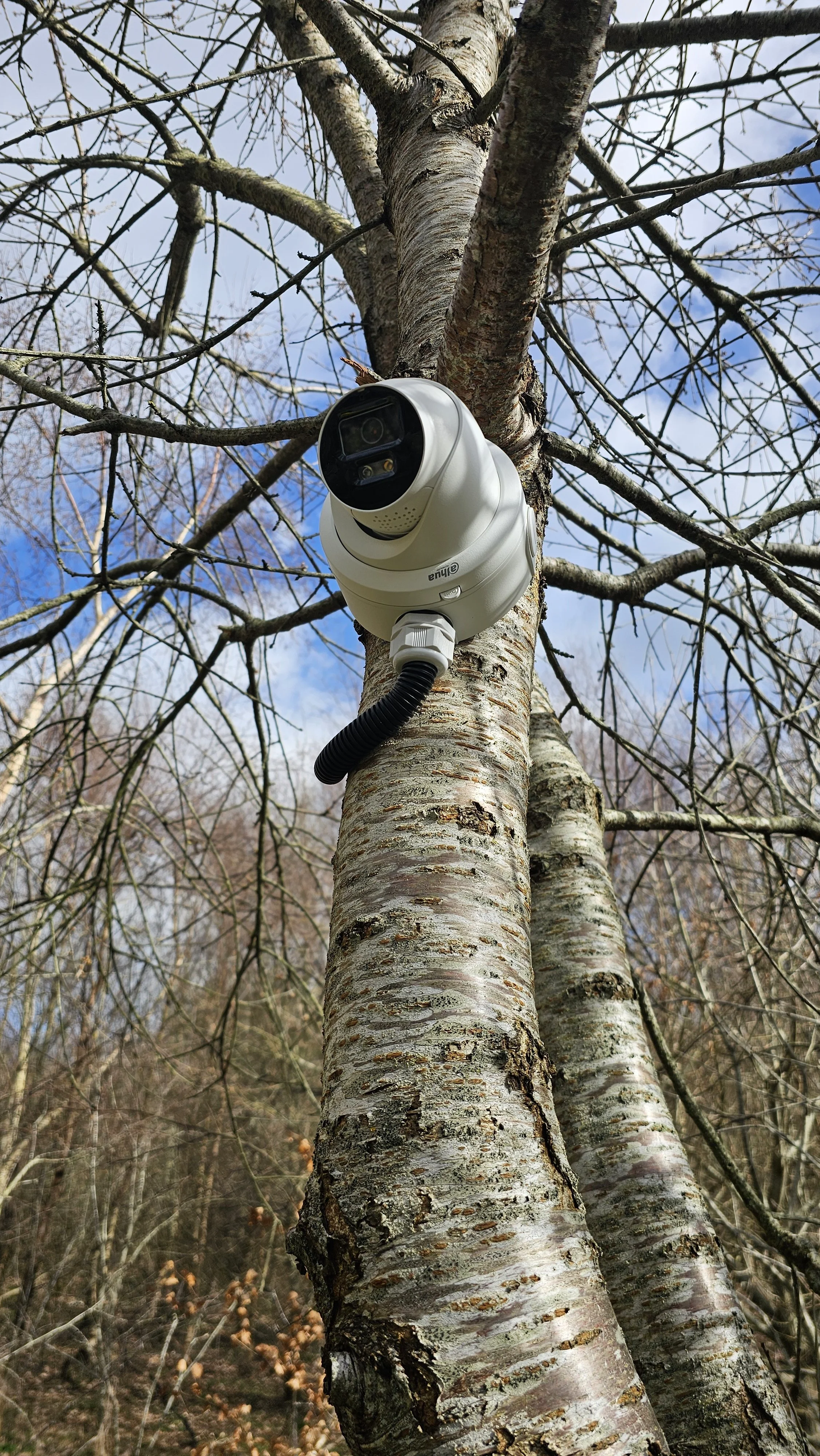 Active Deterrence CCTV Strobes Siren Glasgow