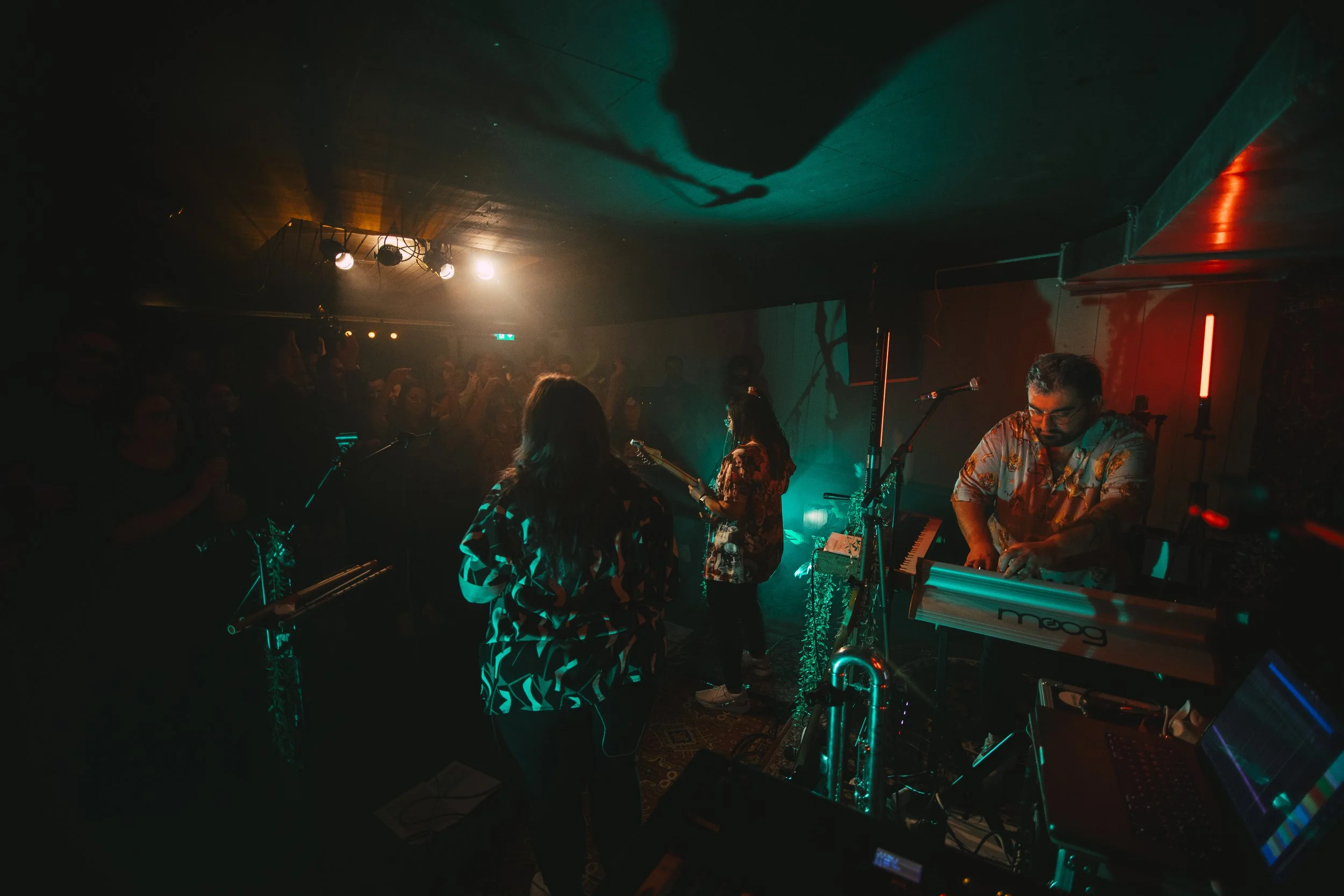 My Sweet Undivine – Press photo