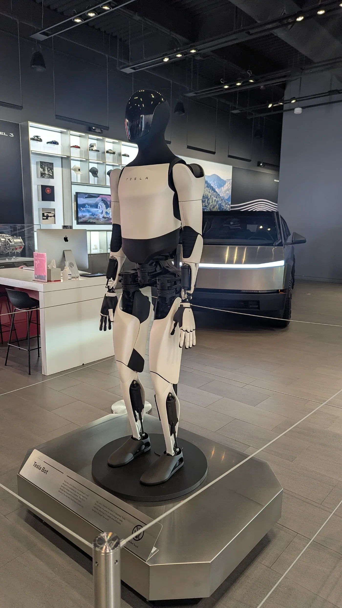 An Optimus display robot is photographed from an angle in a Tesla showroom.