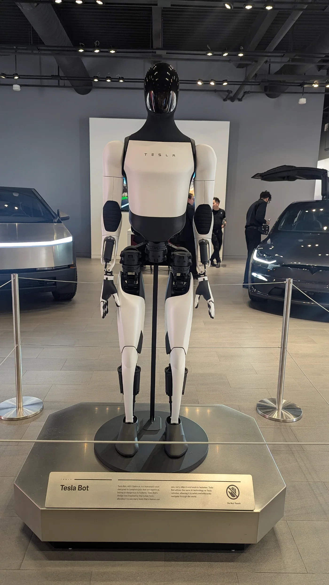 An Optimus robot stands on a display platform in a Tesla showroom.