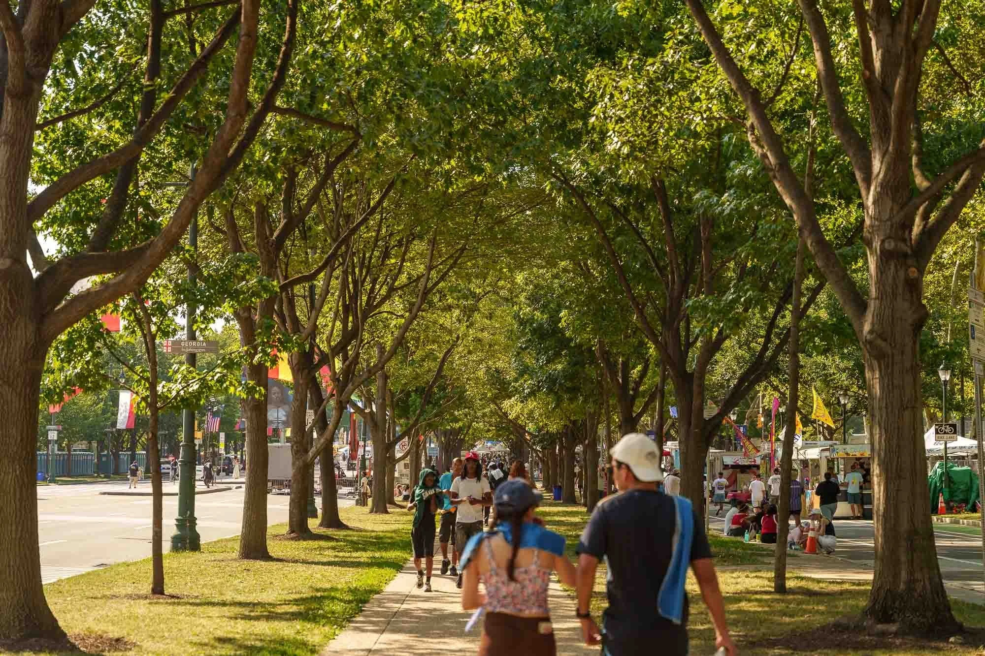 The tree lined Parkway during the concert