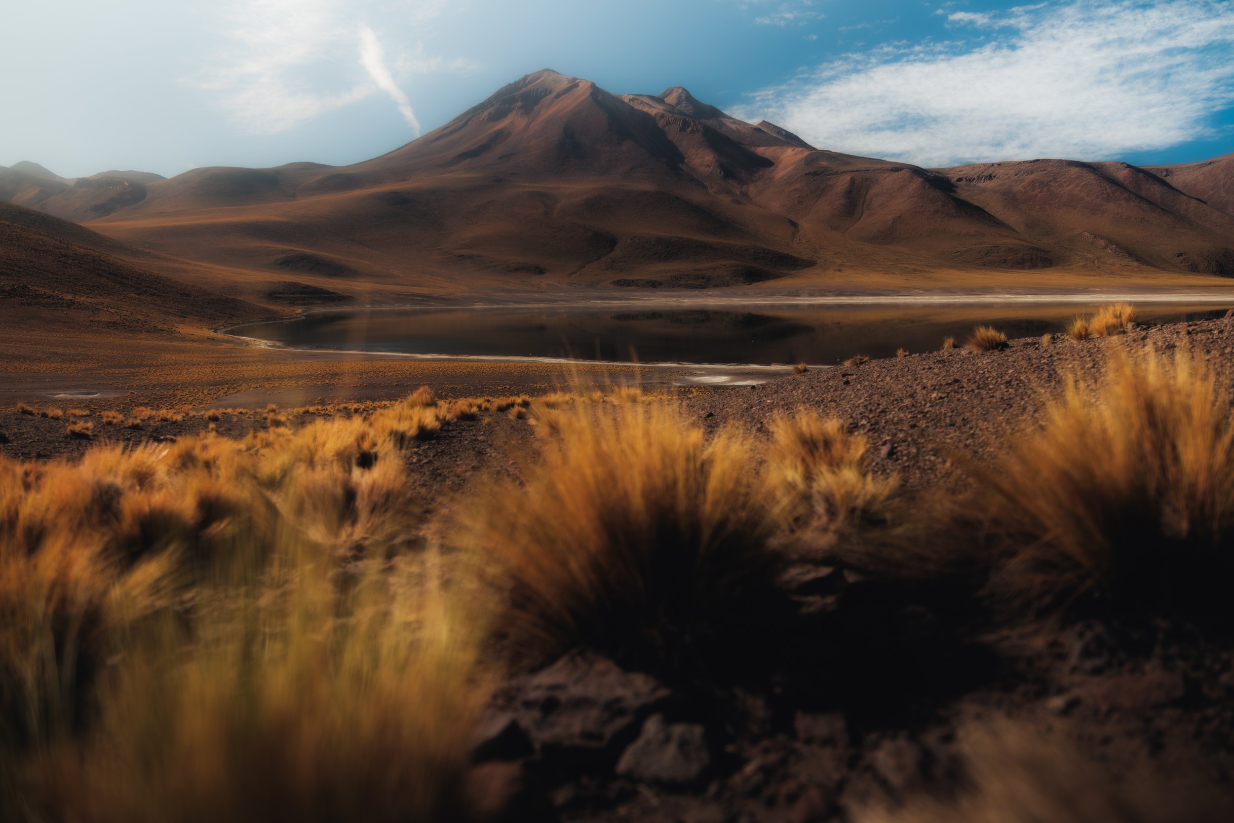Lagunas Altiplanicas II
