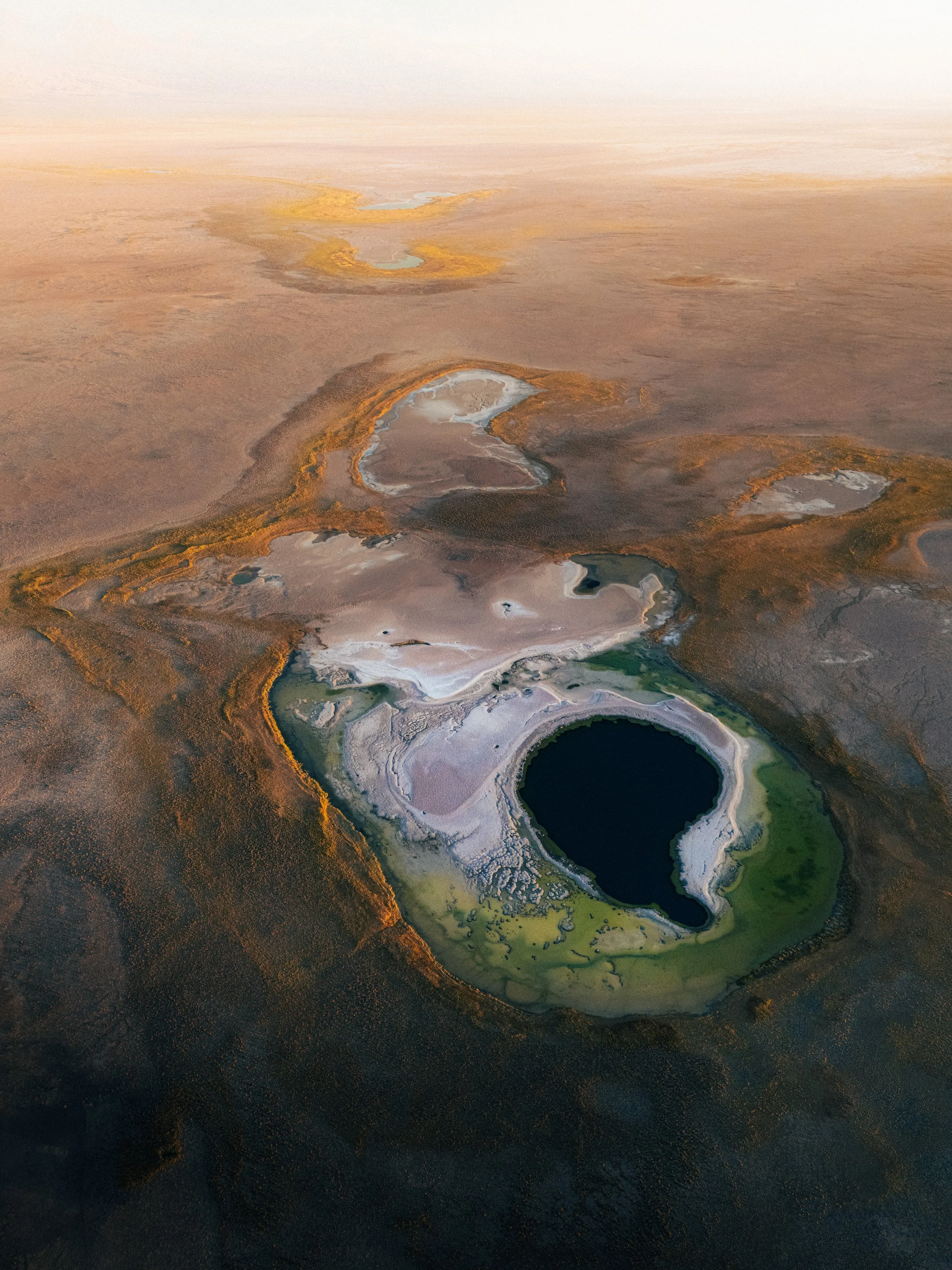 Laguna Cejar I
