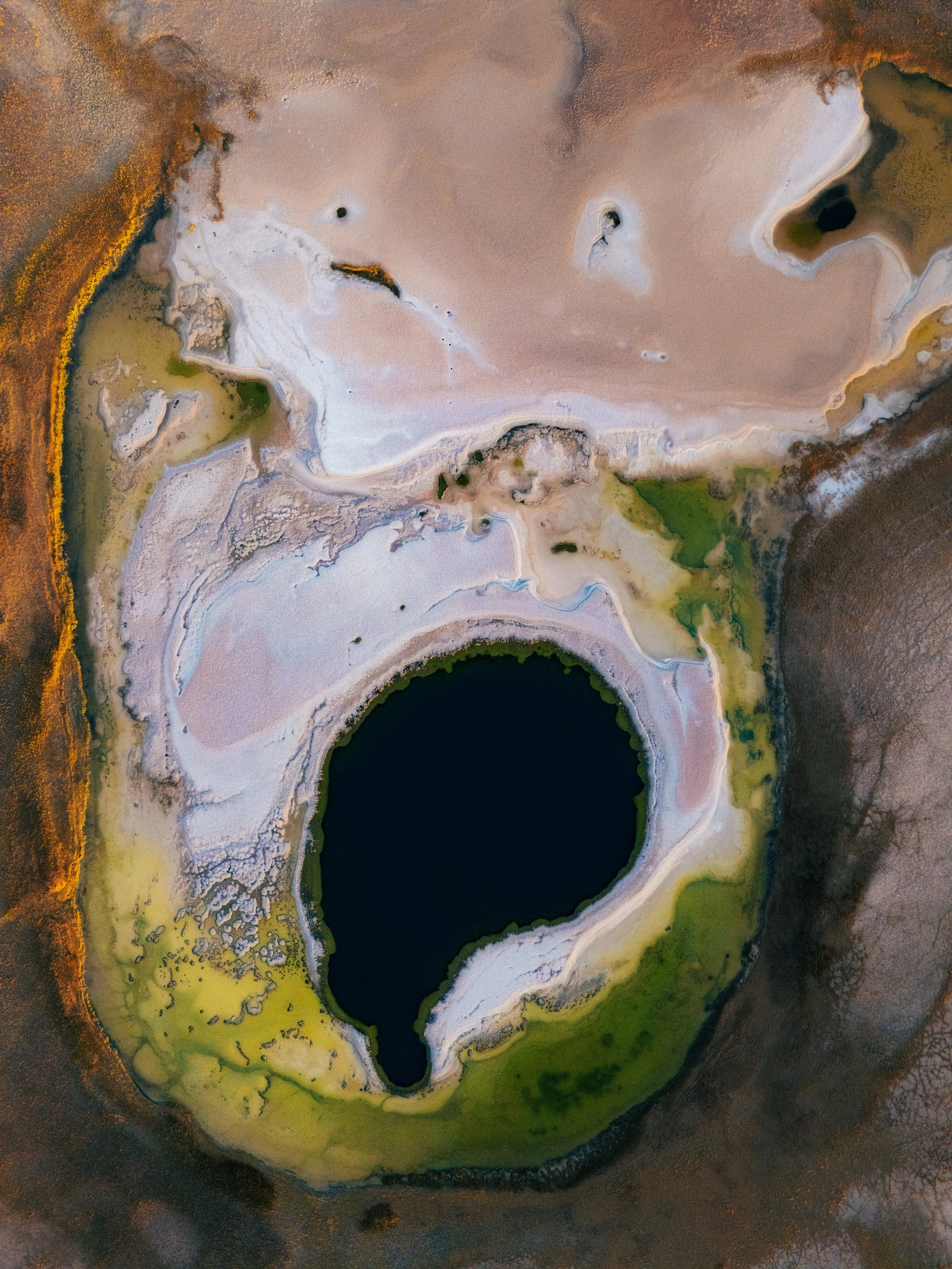 Laguna Cejar II